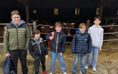 Une équipe en NII Jeunes la saison prochaine !
