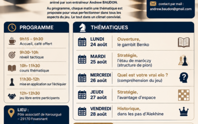 Stage d’échecs du 24 au 28 Août à Fouesnant !